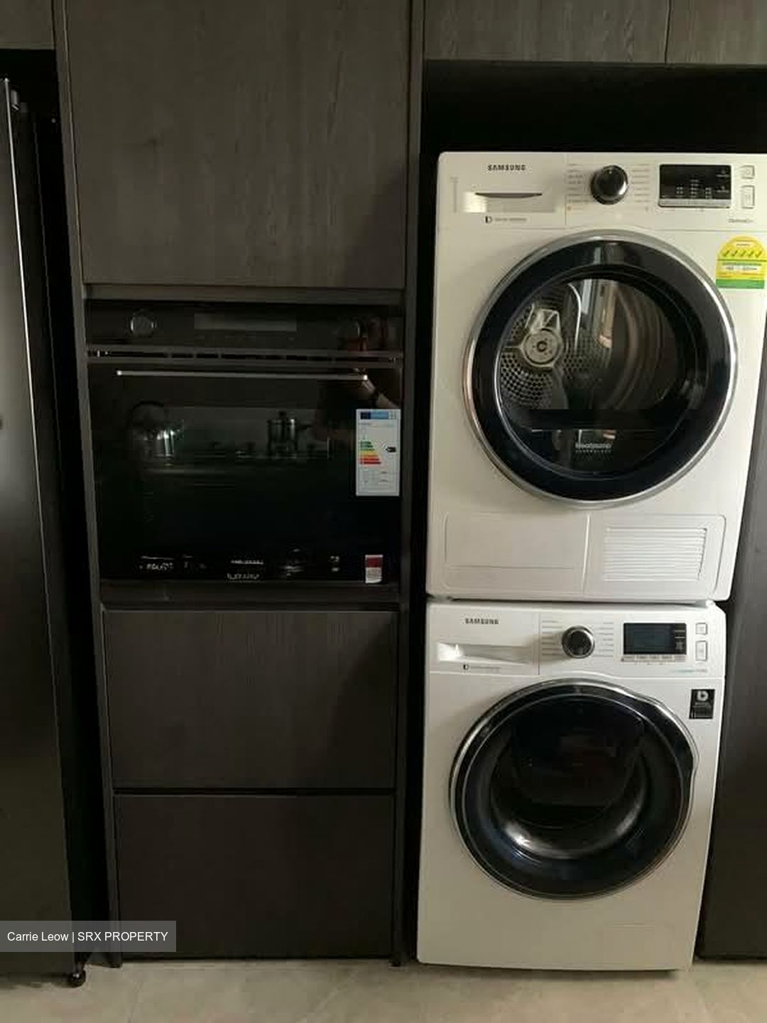 Mera Springs (D8), Condominium #574234551